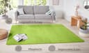 HANSE Home Teppich Shashi | Grün 3