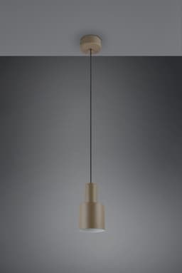 TRIO Leuchten Pendelleuchte AGUDO | Braun