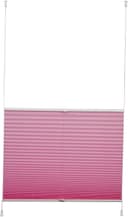 K-HOME Plissee Klemmfix Pisa | Pink 5