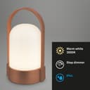 Briloner Leuchten LED Außen-Tischleuchte ASA 7544013 | Braun 5