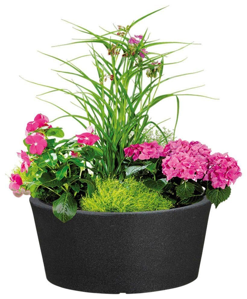 Scheurich C-CONE BOWL Blumentopf | Schwarz