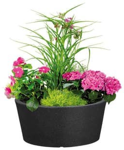 Scheurich C-CONE BOWL Blumentopf | Schwarz
