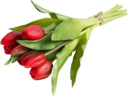 Kunstblume Willa Tulpe | Rot