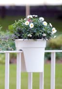 KHW Balkonkasten Flowerclip | Weiß 3
