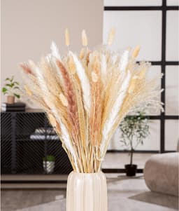 GILDE Dekoobjekt Bündel Trockenblume Seco | Beige