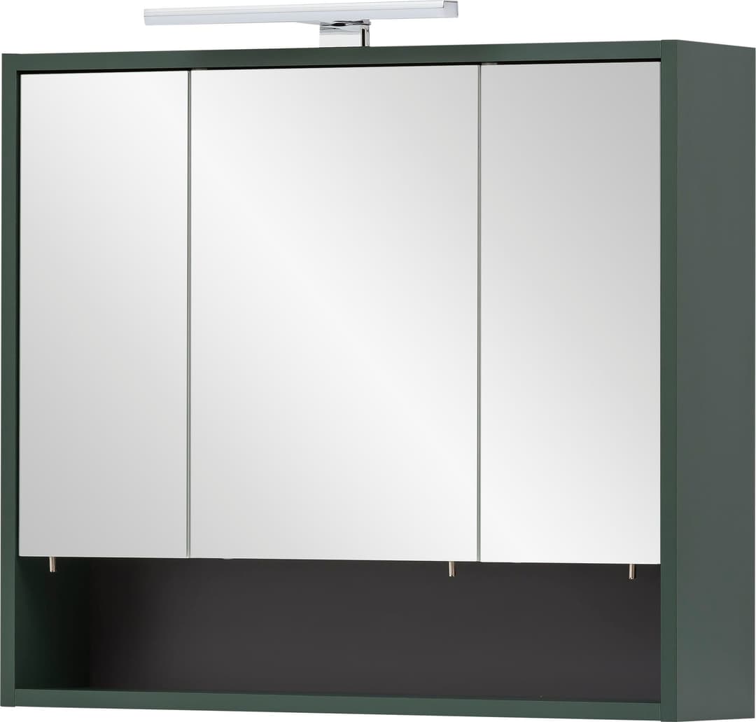 welltime Spiegelschrank Kent | Grün
