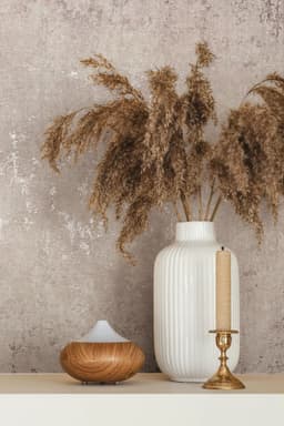 Marburg Vliestapete Calm Concrete | Beige
