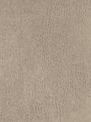 NIEHOFF SITZMÖBEL Esszimmerstuhl Top Chairs | Beige 4