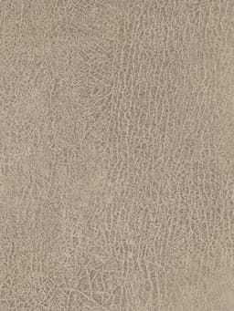 NIEHOFF SITZMÖBEL Esszimmerstuhl Top Chairs | Beige