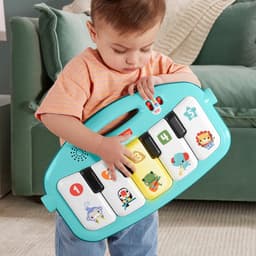 Fisher-Price® Spielbogen Klick & Play | Mehrfarbig