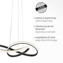 JUST LIGHT Pendelleuchte MARIA | Schwarz 4