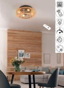 Reality Leuchten LILLESAND Deckenventilator | Braun 2