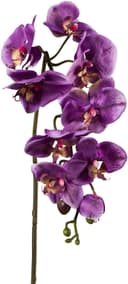 Kunstpflanze Orchidee | Lila 2