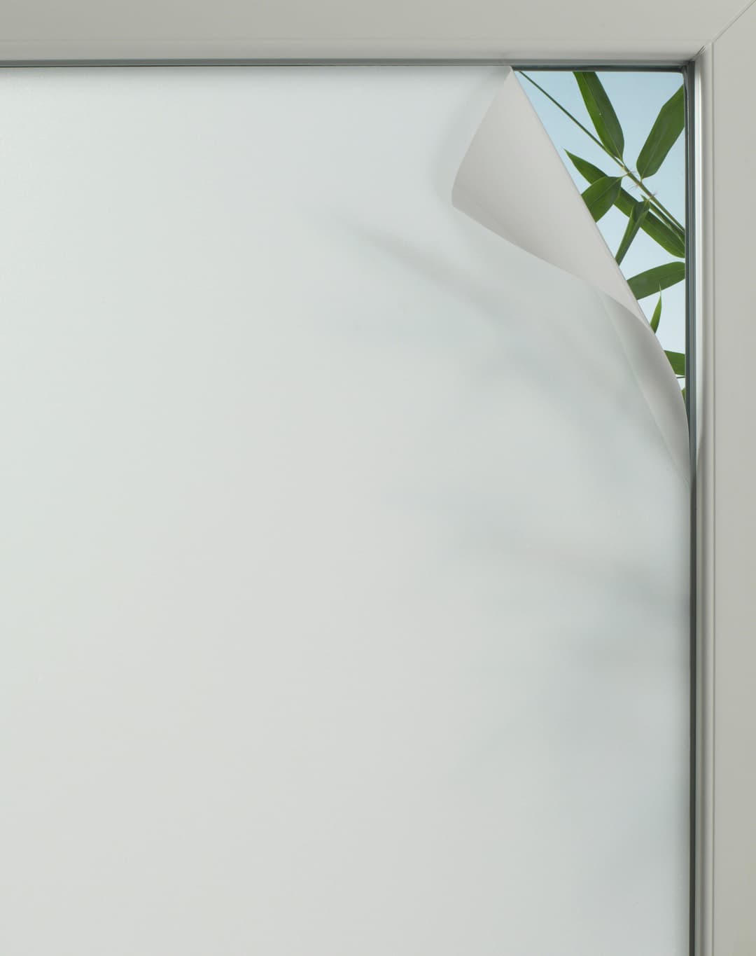 GARDINIA Fensterfolie Privacy 75 | Weiß