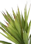 Künstliche Agave Aloe Vera | Grün 2