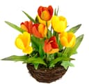 Kunstblume Tulpe im Weidenest | Mehrfarbig