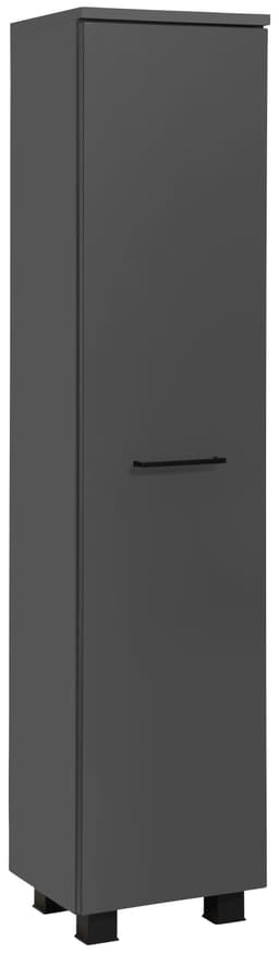 welltime Midischrank Trento | Grau