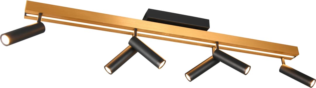 TRIO Leuchten LED Deckenleuchte ZENO | Mehrfarbig
