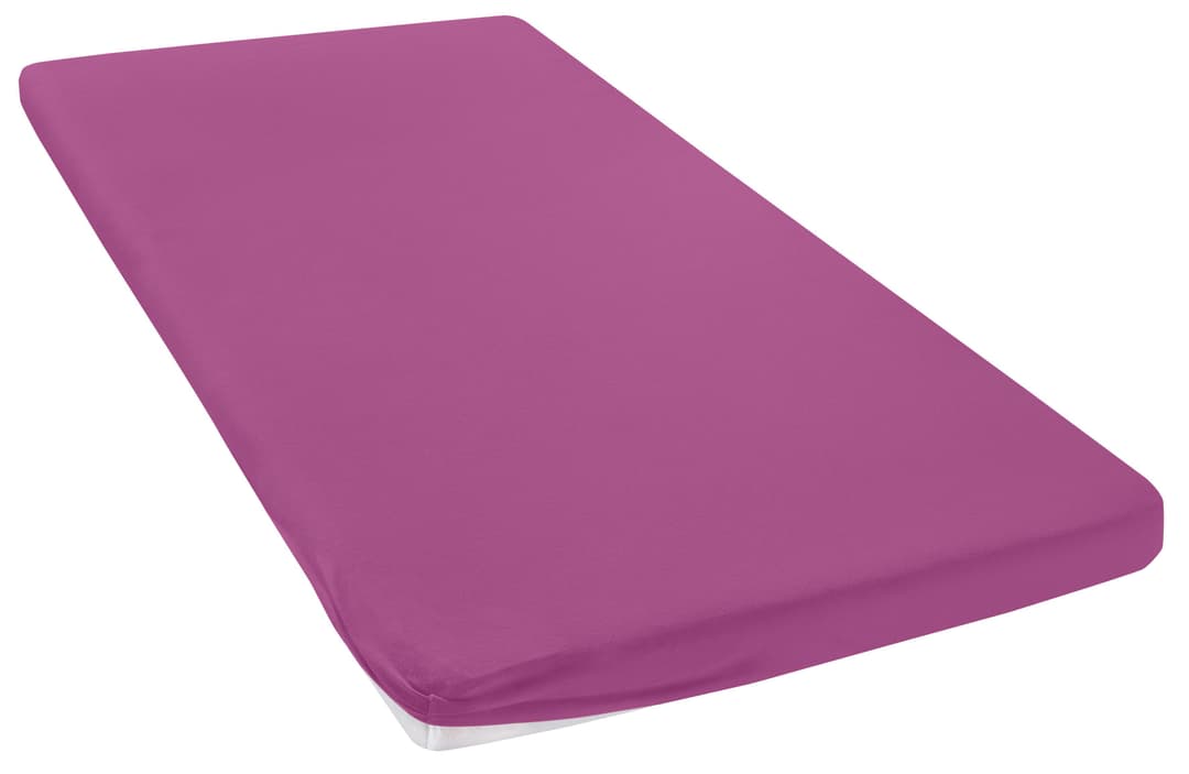 OTTO home Spannbettlaken Topper Basic | Mehrfarbig