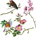 Komar Fensterbild Spring Fever | Mehrfarbig 3