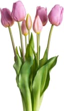 Botanic-Haus Kunstblume Tulpenbündel | Lila