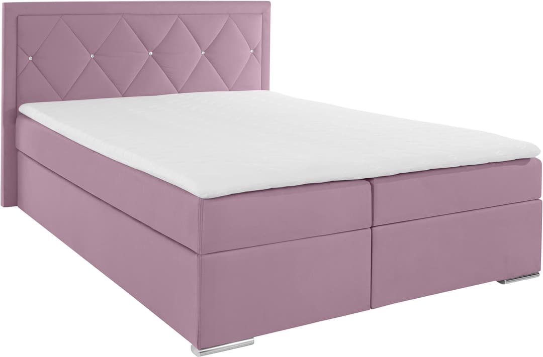 Home affaire Boxbett Alfie | Rosa