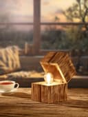 TRIO Leuchten TREASURE Tischleuchte | Holztöne 3