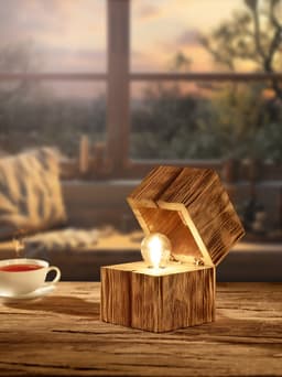 TRIO Leuchten TREASURE Tischleuchte | Holztöne