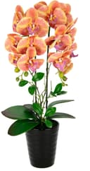 Kunstblume Orchidee I.GE.A. | Orange