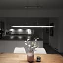 B.K.Licht LED Pendelleuchte | Silber 4