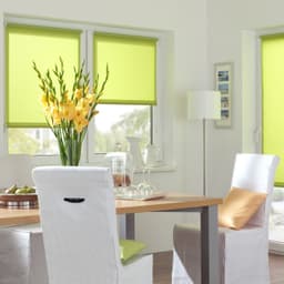 Seitenzugrollo EASYFIX Rollo Uni | Grün