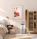 BOSCH Luftreiniger Air 6000i | Weiß 2