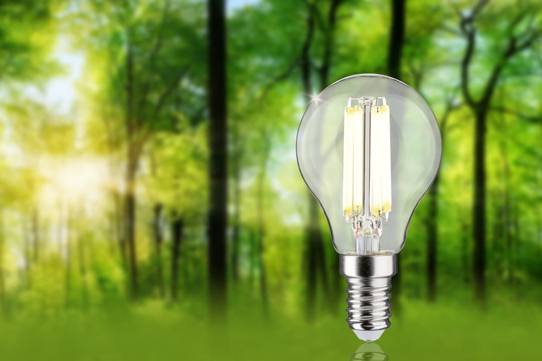 Paulmann LED-Leuchtmittel Eco-Line Filament | Transparent