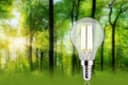 Paulmann LED-Leuchtmittel Eco-Line Filament | Transparent 2