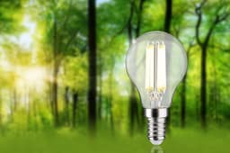 Paulmann LED-Leuchtmittel Eco-Line Filament | Transparent