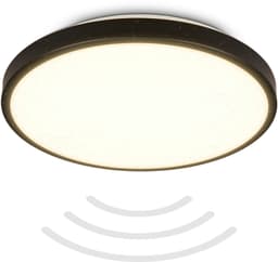 B.K.Licht LED Deckenleuchte BK_DL1615 | Schwarz