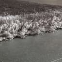 Paco Home Touch 100 Hochflor-Teppich | Grau 4