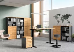 GERMANIA GW-Agenda Rollcontainer | Braun
