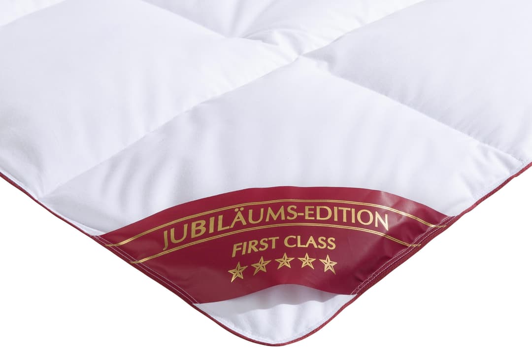 Hanse by RIBECO Daunenbettdecke Jule | Weiß
