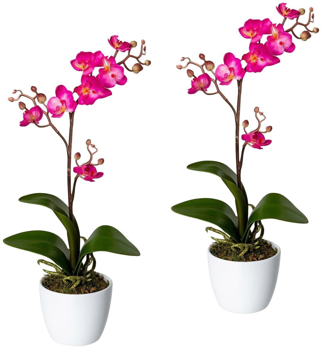Kunstpflanze Orchidee Phalaenopsis | Pink