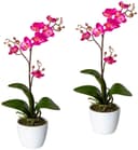 Kunstpflanze Orchidee Phalaenopsis | Pink