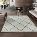the carpet Teppich Bahar Shaggy | Beige