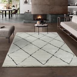 the carpet Teppich Bahar Shaggy | Beige