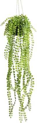 Künstliche Zimmerpflanze Ficus-Pumila-Hängeampel | Grün