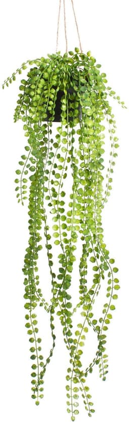 Künstliche Zimmerpflanze Ficus-Pumila-Hängeampel | Grün
