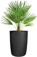 Scheurich Blumentopf Linetto High | Schwarz 3