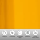 OTTO home Vorhang Raja | Gold 2
