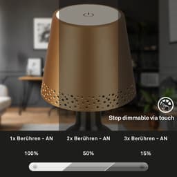 Briloner Leuchten FLASKA Tischleuchte | Gold