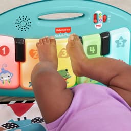 Fisher-Price® Spielbogen Klick & Play | Mehrfarbig