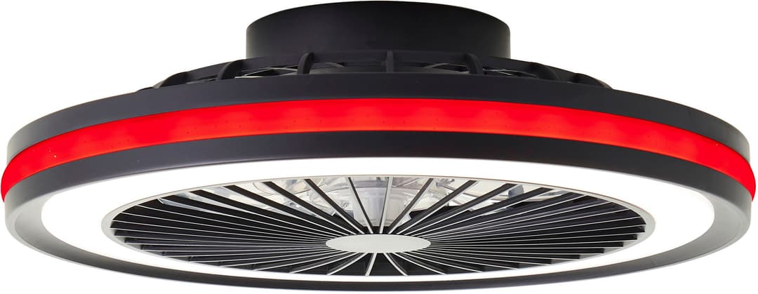 Brilliant LED Deckenleuchte Palmero | Schwarz